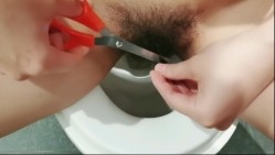 预览图1