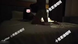 预览图4