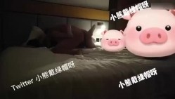 预览图12