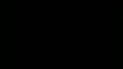 预览图15