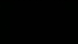预览图16