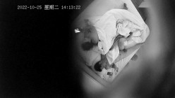 预览图14
