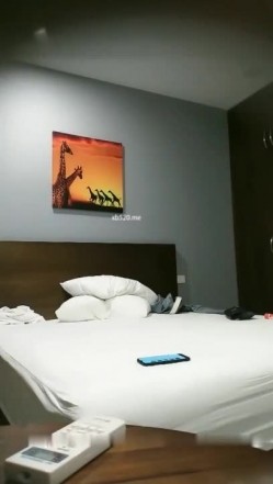 预览图5
