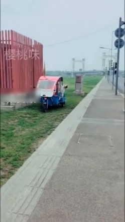 预览图12