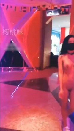 预览图13