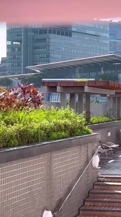预览图10