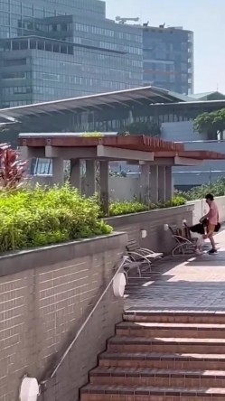 预览图11