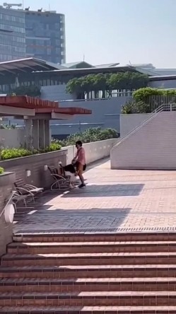 预览图15