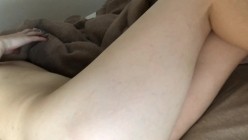 预览图4
