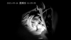 预览图4