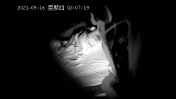 预览图7
