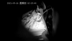 预览图8