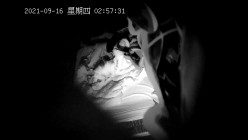 预览图13