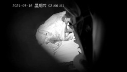 预览图14