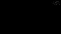 预览图16