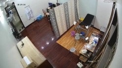 预览图4