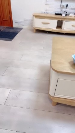 预览图4