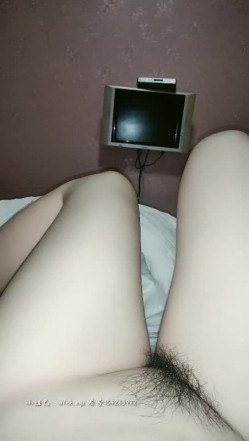 预览图7