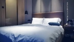 预览图5