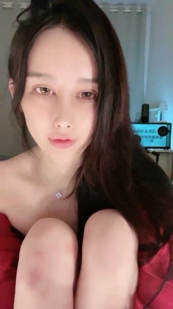 预览图4