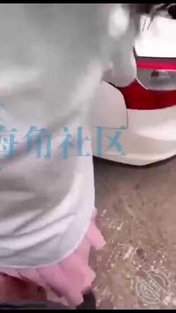 预览图5