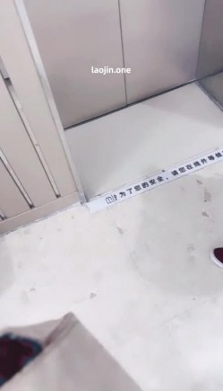 预览图4
