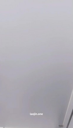 预览图16
