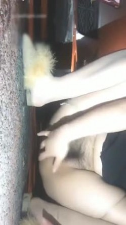 预览图5