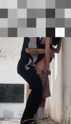 预览图5