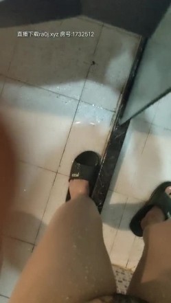 预览图8