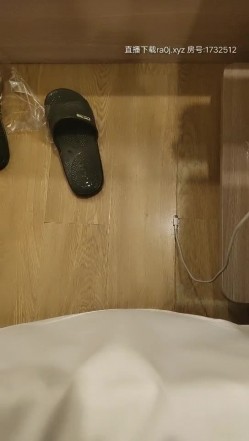 预览图9