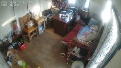 预览图13