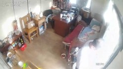 预览图14