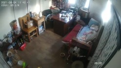 预览图16