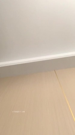 预览图9