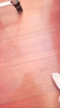 预览图14