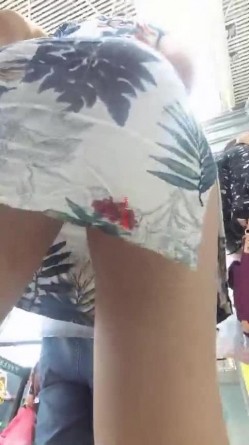 预览图3