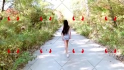 预览图6