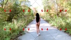 预览图14