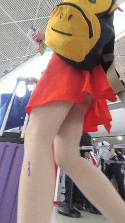 预览图1
