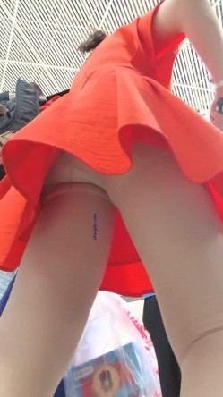 预览图7