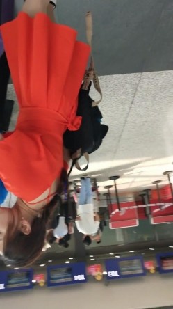 预览图15