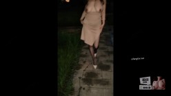 预览图14