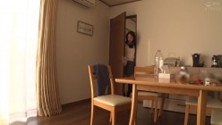 预览图4