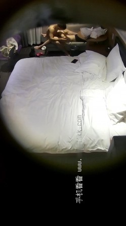 预览图7
