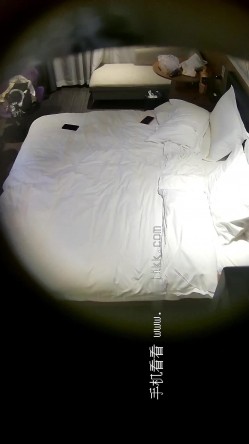 预览图8
