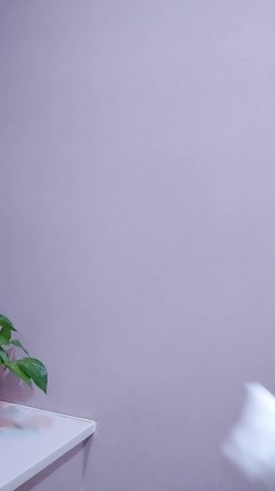 预览图7