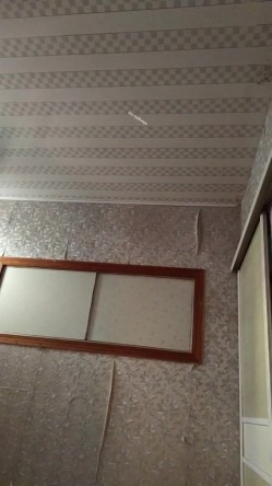 预览图6