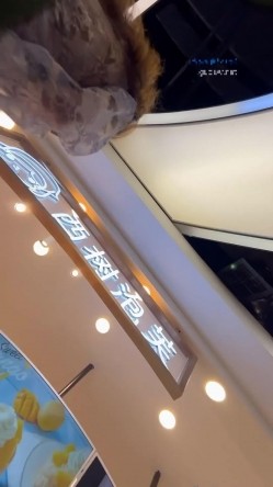 预览图16